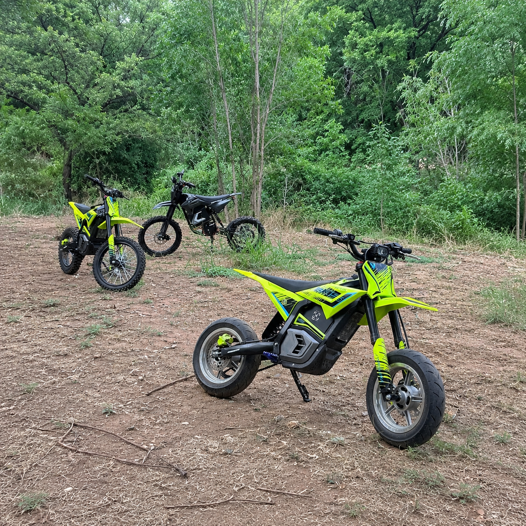 Valtinsu EM-5 Pro with silver supermoto wheels - the watts shop